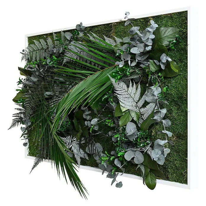 styleGreen Pflanzenbild - 60 x 100 cm - Diagonale Ansicht