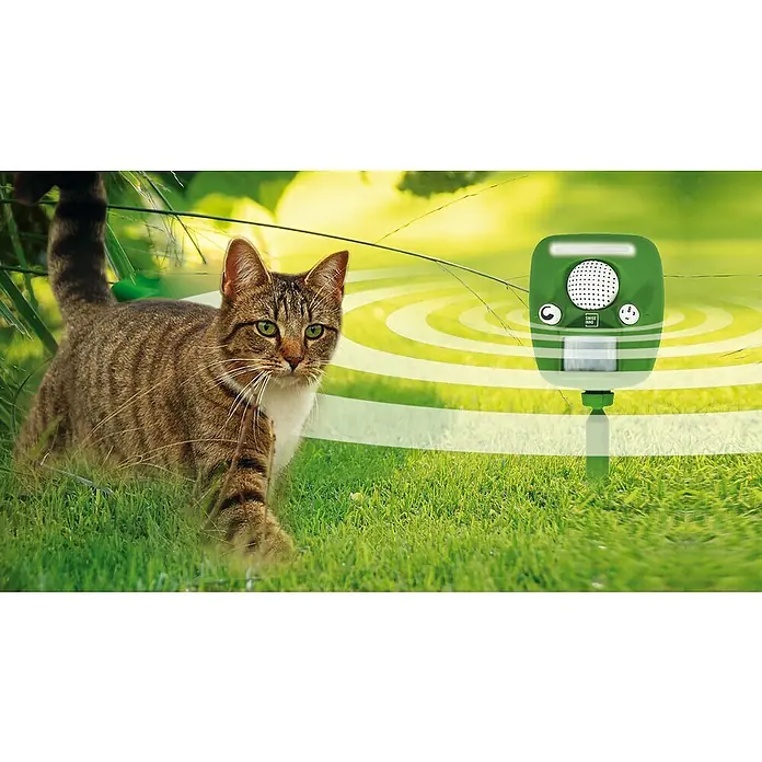 Swissinno Tiervertreiber - Wirkungsbereich: 100 m² - Anwendungsbeispiel
