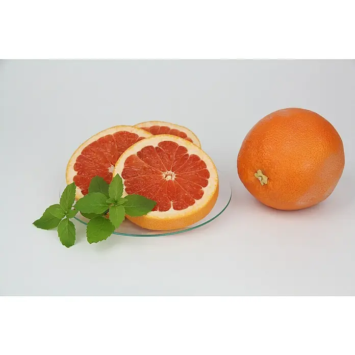 Piardino Grapefruitminze Bio - Mentha suaveolens 'Grapefruit', Topfgröße: 12 cm - Stimmungsaufnahme