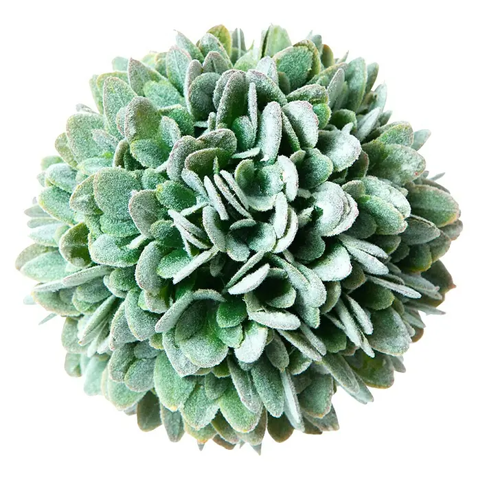 Dekoelement Bux - Grün, Durchmesser: 10 cm - Vorderansicht