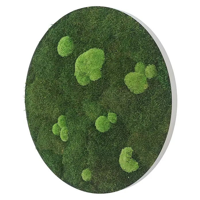 styleGreen Moosbild - 54 x 6 cm - Vorderansicht