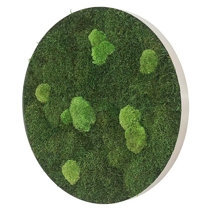 styleGreen Moosbild - 80 x 6 cm - Vorderansicht