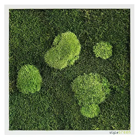 styleGreen  Moosbild