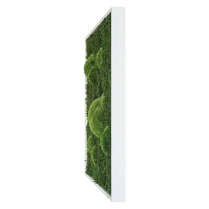 styleGreen Moosbild - 35 x 35 cm - Diagonale Ansicht