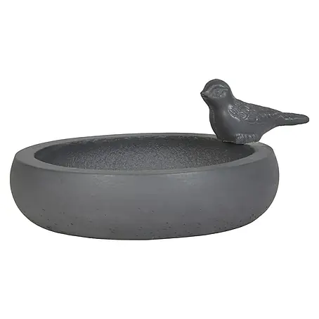 Vogeltränke Foggia