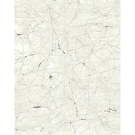 SCHÖNER WOHNEN-Kollektion New Spirit Fototapete Digitaldrucktapete Holzstein