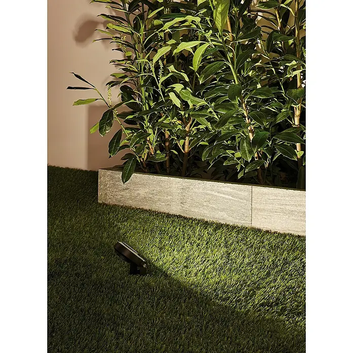 Paulmann Plug & Shine Foco LED de jardín Sting - 6 W, Estaca, Altura: 29 cm, 24 V - Foto ambiente
