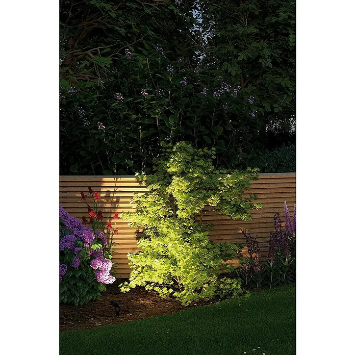 Paulmann Plug & Shine Set de luces de jardín LED Sting - 6 W, 3 luces, Estaca, IP67 - Foto ambiente