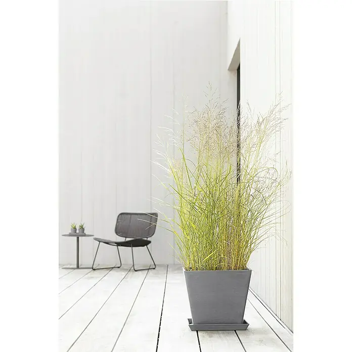 Ecopots Pflanzkasten Rotterdam - Außenmaß (L x B x H): 40 x 40 x 35 cm, Kunststoff, Grau - Stimmungsaufnahme