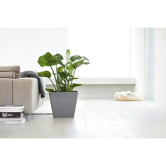 Ecopots Pflanzkasten Rotterdam - Außenmaß (L x B x H): 40 x 40 x 35 cm, Kunststoff, Grau - Stimmungsaufnahme