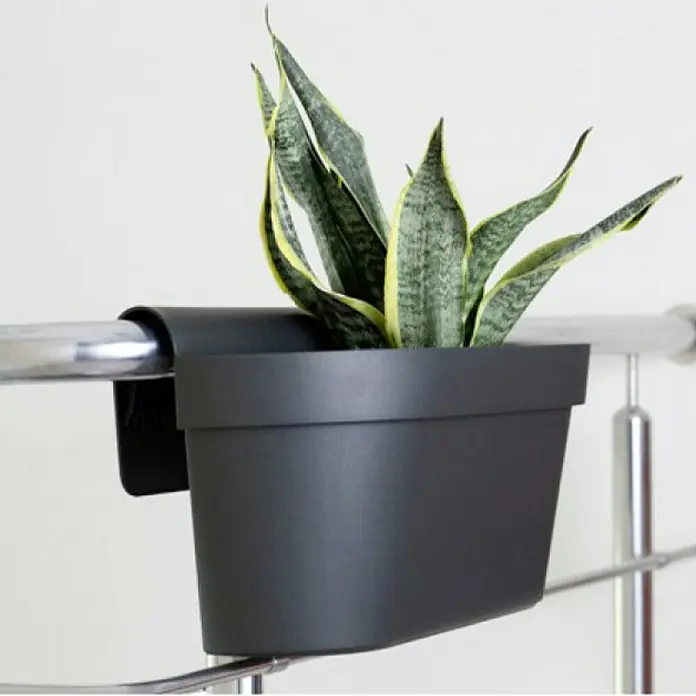 Plastična žardinjera Melrose Esprit - Vanjska dimenzija (D x Š x V): 50 x 20 x 20 cm, Plastika, Antracit - Proizvod u upotrebi