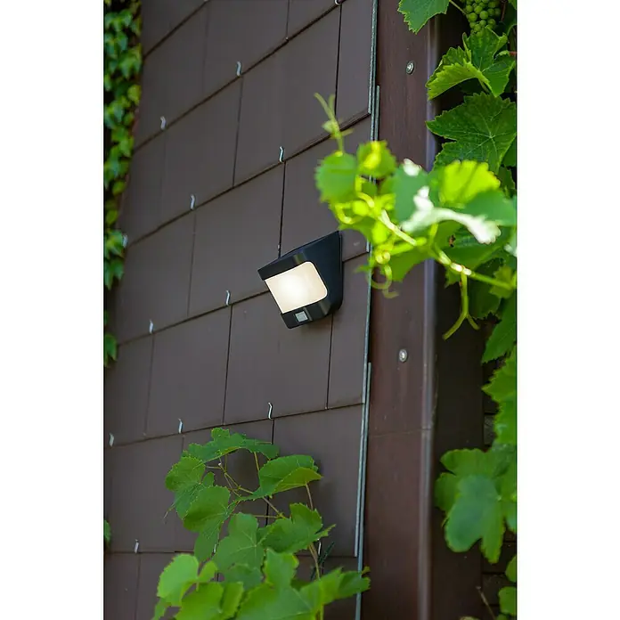 Lutec Aplique exterior LED con sensor Try - 8 W, L x An x Al: 125 x 118 x 69 mm, Negro, Blanco neutro - Foto ambiente