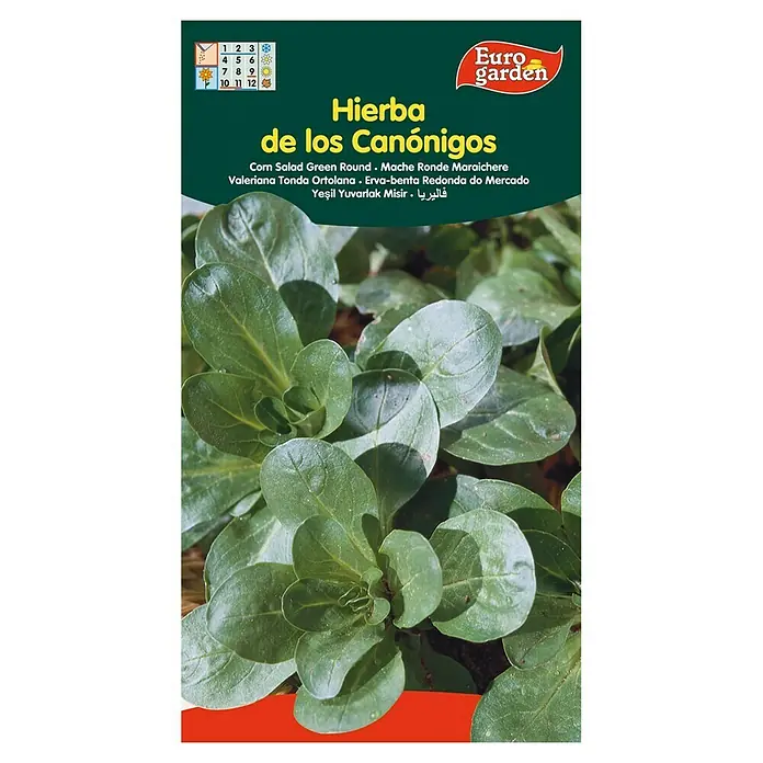 Euro Garden Semillas de lechuga Canónigos - Cosecha: Noviembre, 8 g - Vista frontal