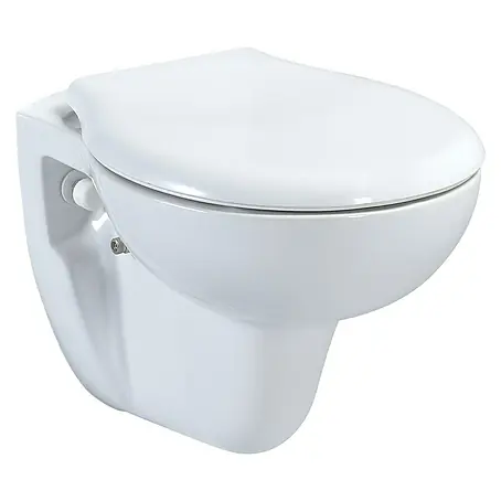 Camargue Arles Fali WC
