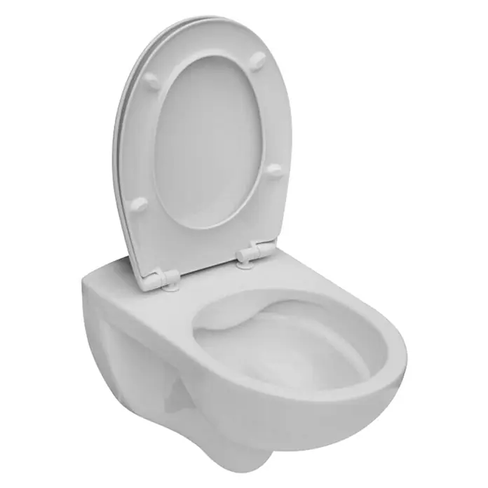 Zidna WC školjka Victoria - Bijele boje, D x Š x V: 54 x 37 x 33,5 cm - Dijagonalni pogled