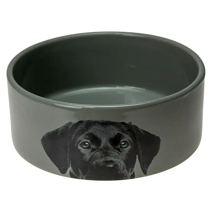 Karlie Tazón para mascotas Cerámica - Apto para: Perros, Capacidad: 1.500 ml, Gris - Vista frontal