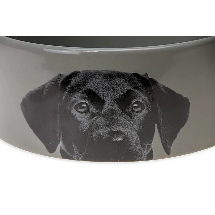 Karlie Tazón para mascotas Cerámica - Apto para: Perros, Capacidad: 1.500 ml, Gris - Foto ambiente