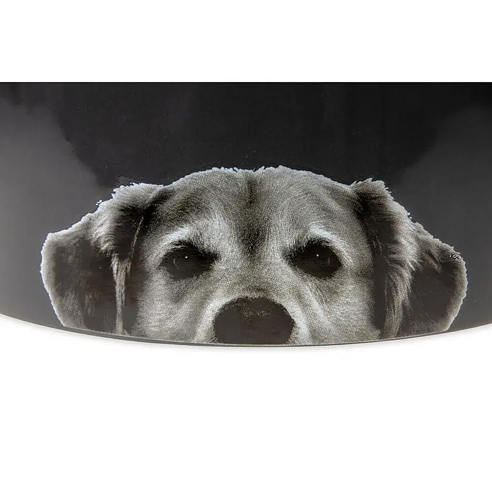 Karlie Tazón para mascotas - Apto para: Perros, 1.500 ml - Foto ambiente