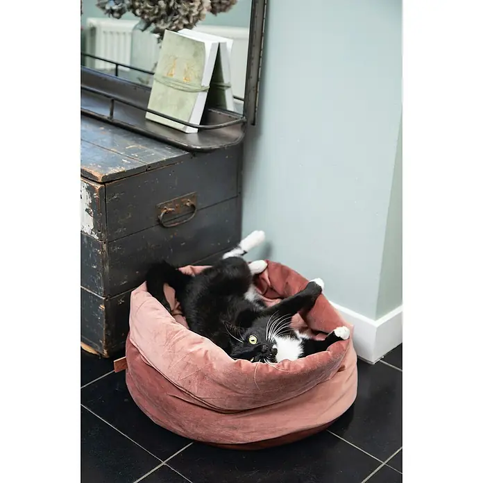 Beeztees Designed by Lotte Cama para gatos Fluco - 35 x 45 x 45 cm, Gris - Foto ambiente