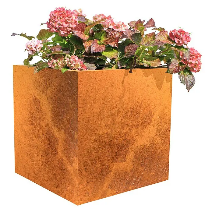 Palatino Exlusive Line Pflanzkübel eckig Nora - 60 x 60 x 60 cm, Cortenstahl, Rotbraun - Anwendungsbeispiel