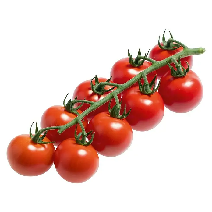 Piardino Cocktailtomate Manolo Red - Lycopersicon esculentum, 12 cm, Erntezeit: Juli - Oktober - Vorderansicht