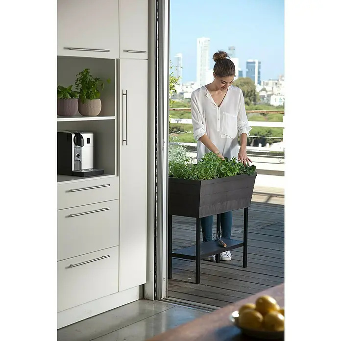 Keter Hochbeet Urban Bloomer - 82 x 38 cm, Anthrazit - Anwendungsbeispiel