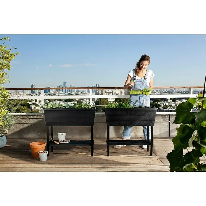 Keter Hochbeet Urban Bloomer - 82 x 38 cm, Anthrazit - Anwendungsbeispiel