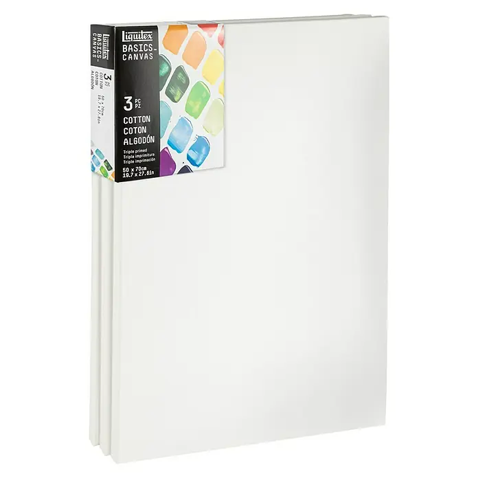 Liquitex Basics Slikarsko platno sa drvenim okvirom - 70 x 50 x 1,8 cm, Pamuk, Trostruko grundirano - Dijagonalni pogled