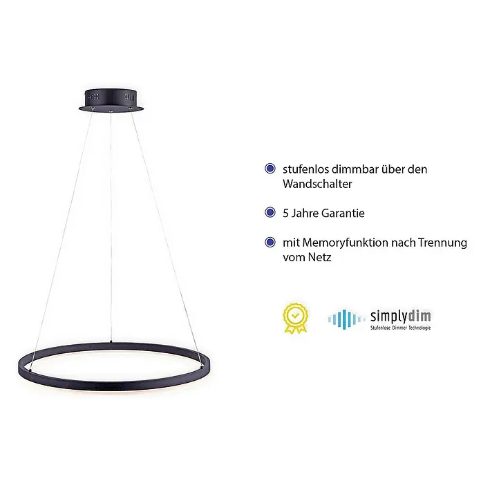 Paul Neuhaus LED-Pendelleuchte rund Titus - 29 W, Silber, Warmweiß