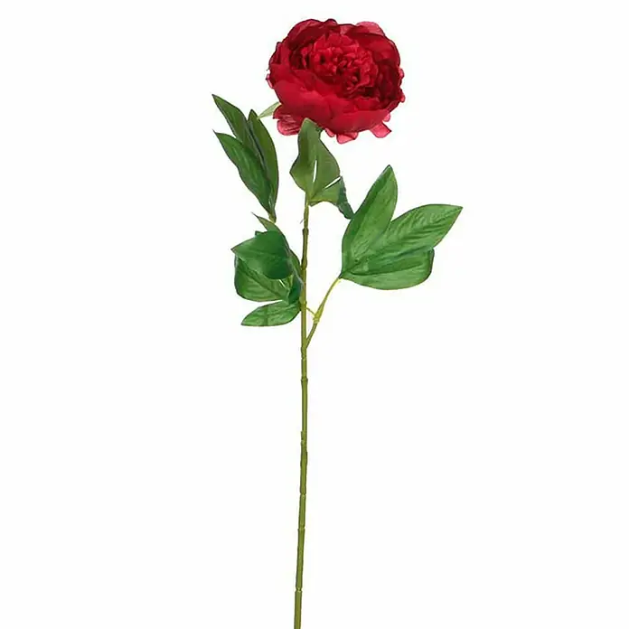 Flor artificial Peonía - Rosa oscuro, Altura: 76 cm, Plástico - Primer plano