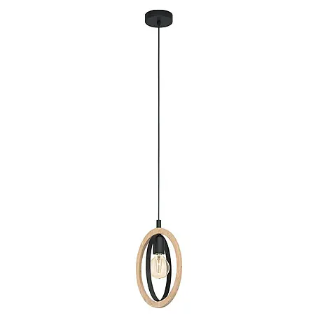Eglo  Hanglamp Basildon