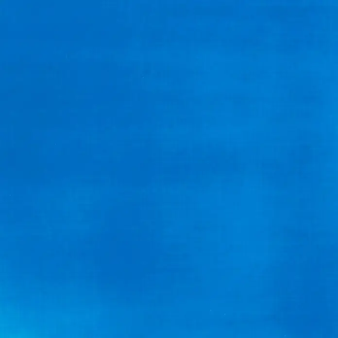 Liquitex Basics Acrylfarbe - Farbe: Blau Fluoreszierend, 118 ml, Tube - Detailaufnahme