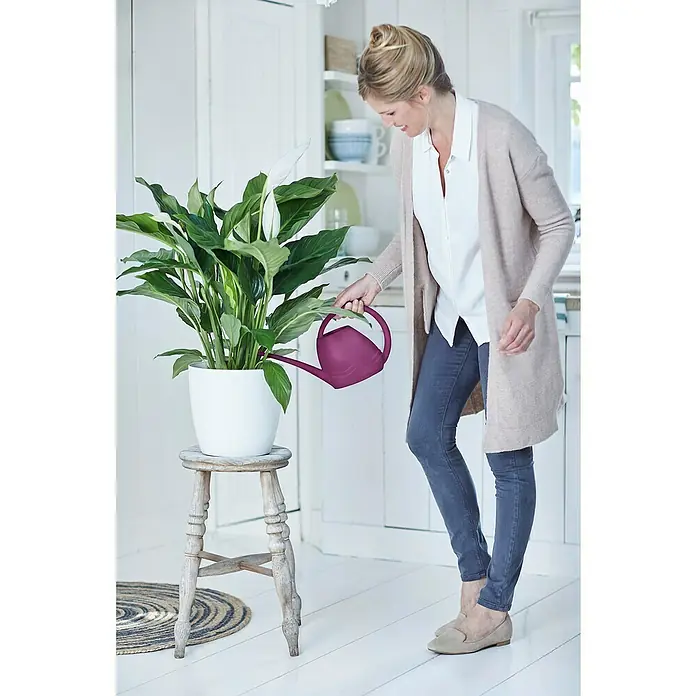 Elho Regadera Aquarius - Cherry, 1,5 l - Producto en uso