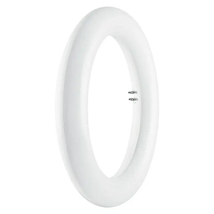 Tubo LED Circular - 20 W, 3 cm, Blanco frío, 1.200 lm - Vista angular