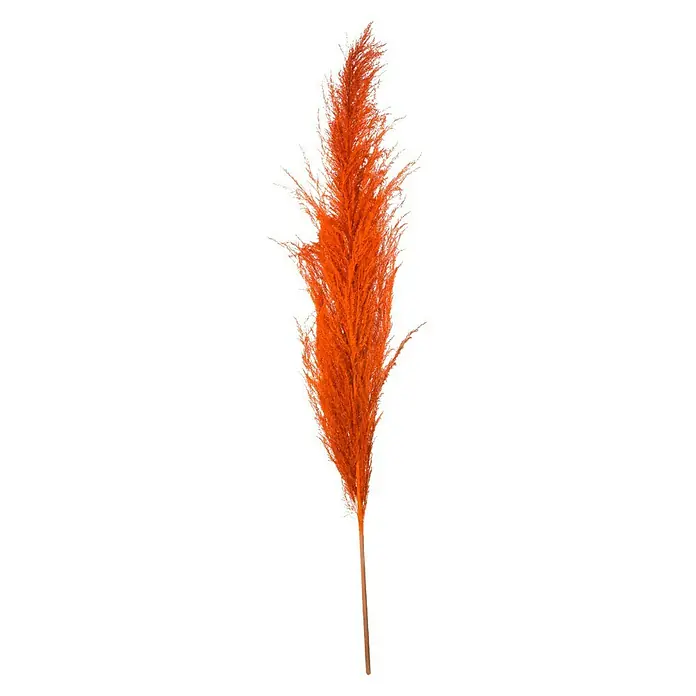 Trockenblume Pampasgras - Länge: 150 cm, Orange - Vorderansicht