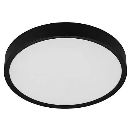 Eglo  Plafondlamp Musurita