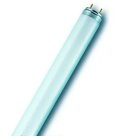 Osram  Tubo fluorescente T8/L