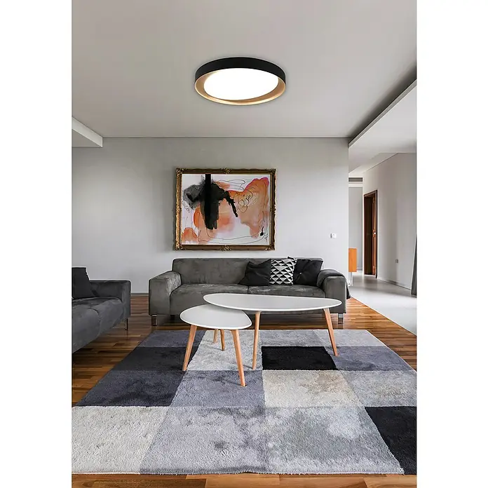 Plafón LED redondo Zeta - 24 W, Ø x Al: 480 mm x 7 cm, Negro, Blanco cálido - Foto ambiente