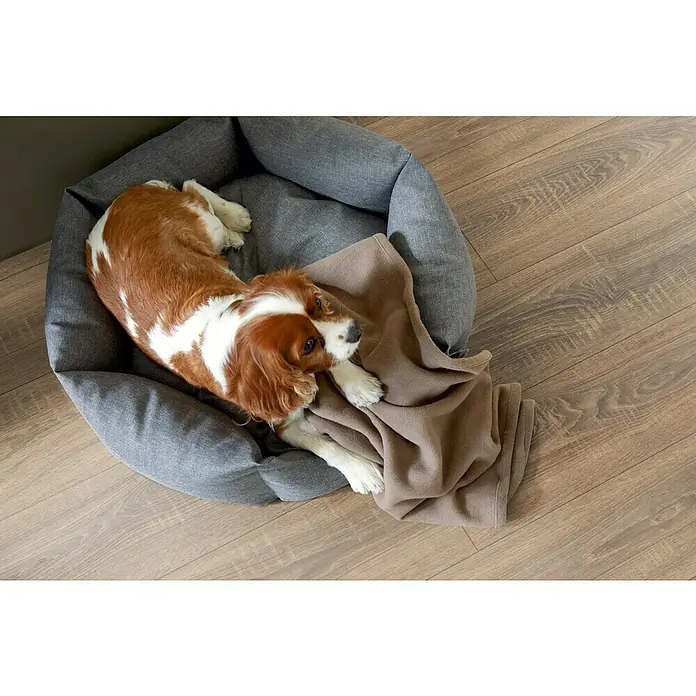 Egger Home Laminat Toscolano Eiche Tabak - 1.292 x 193 x 10 mm, Landhausdiele - Stimmungsaufnahme