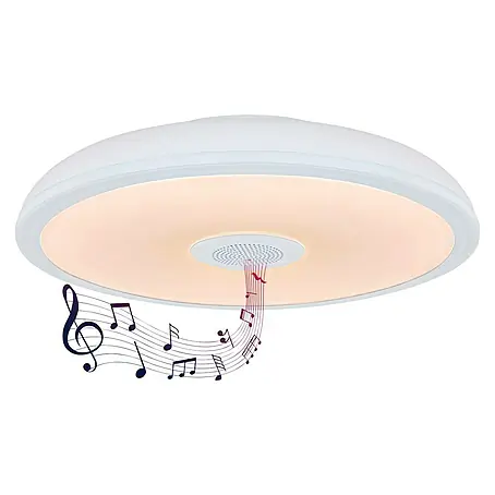 Globo  Plafón LED redondo Raffy