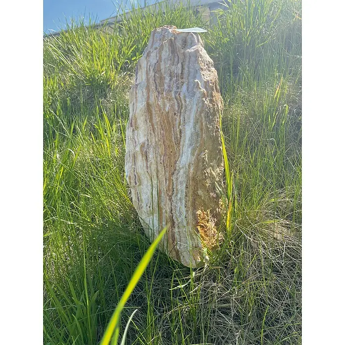 Gartendeko Monolithe - Marmor, Maße Stein: H: 40 - 55 cm - Nahaufnahme eines länglichen, gestreiften Felsen, der in hohem Gras steht.