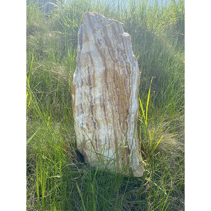 Gartendeko Monolithe - Marmor, Maße Stein: H: 40 - 55 cm - Ein imposanter, gestreifter Stein, der an ein Stück versteinertes Holz erinnert, steht aufrecht im grünen Gras. Die Textur ist auffällig.