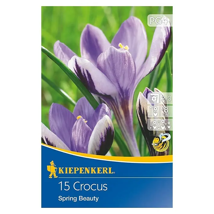 Kiepenkerl Frühlingsblumenzwiebeln Wildkrokus Spring Beauty - Crocus minimus, 15 Stk. - Vorderansicht