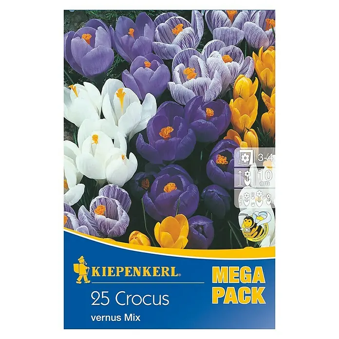 Kiepenkerl Frühlingsblumenzwiebeln Mega-Pack Gartenkrokusmischung - Crocus vernus, 25 Stk. - Vorderansicht