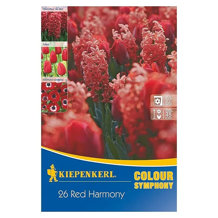 Kiepenkerl Frühlingsblumenzwiebel-Mix Colour Symphony Red Harmony - Arten-mischung, 26 Stk. - Vorderansicht