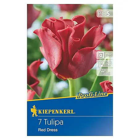 Kiepenkerl  Frühlingsblumenzwiebeln