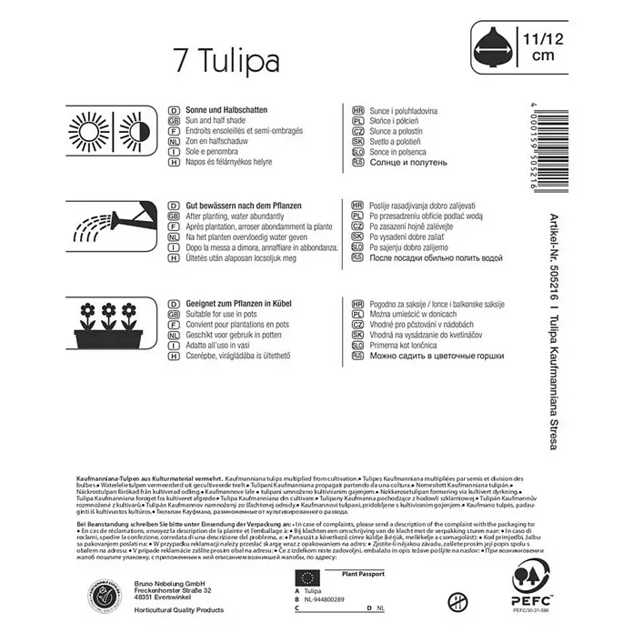 Kiepenkerl Frühlingsblumenzwiebeln Kaufmanniana-Tulpe Stresa - Tulipa kaufmanniana, 7 Stk. - Rückansicht