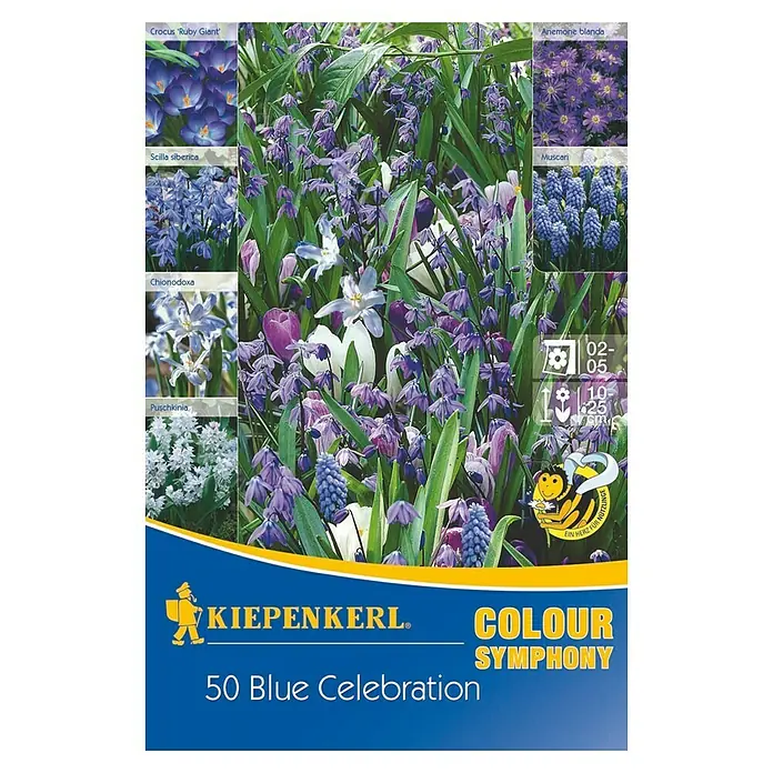 Kiepenkerl Frühlingsblumenzwiebeln Colour Symphony Blue Celebration - Crocus tommasinianus, Scilla siberica, Chionodoxa, Puschkinia scilloides, Anemone blanda, Muscari, 50 Stk., Blue Celebration - Vorderansicht