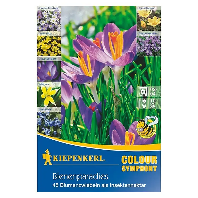 Kiepenkerl Frühlingsblumenzwiebeln Colour Symphony Bienenparadies - Anemone blanda, Eranthis cilicica, Crocus tommasinianus, Tulipa tarda, Scilla siberica, Crocus chrysanthus, Chionodoxa luciliae, 45 Stk., Bienenparadies - Vorderansicht