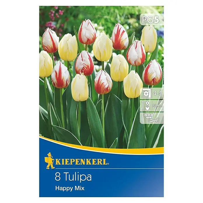 Kiepenkerl Frühlingsblumenzwiebel-Mix - Tulipa 'Happy Mix', 8 Stk. - Vorderansicht